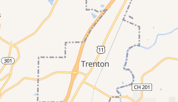 Trenton, Georgia map