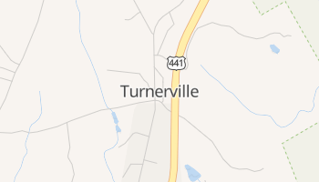 Turnerville, Georgia map