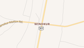 Winokur, Georgia map