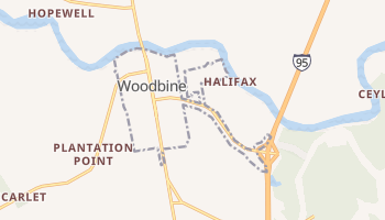 Woodbine, Georgia map