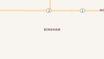Bingham, Iowa map