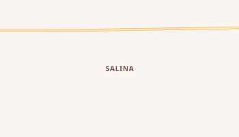 Salina, Iowa map