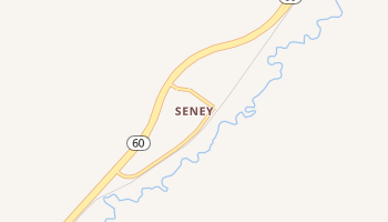 Seney, Iowa map