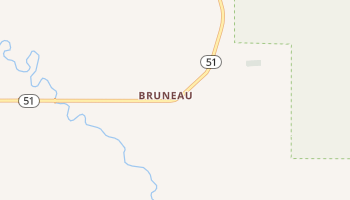 Bruneau, Idaho map