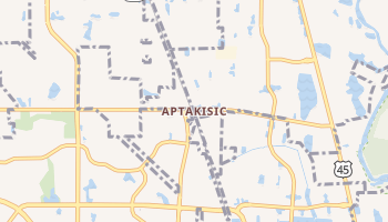 Aptakisic, Illinois map
