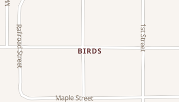 Birds, Illinois map