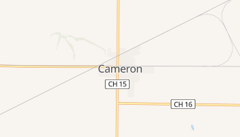 Cameron, Illinois map