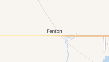 Fenton, Illinois map