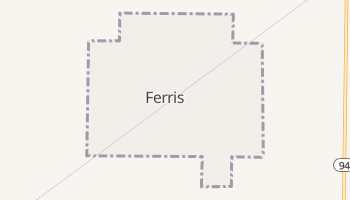 Ferris, Illinois map