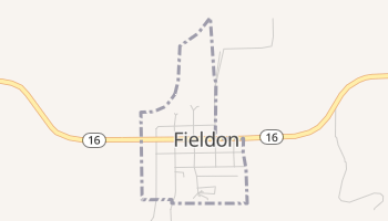 Fieldon, Illinois map