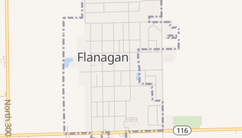 Flanagan, Illinois map