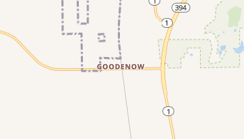 Goodenow, Illinois map