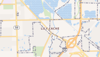 Lily Cache, Illinois map