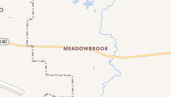 Meadowbrook, Illinois map