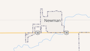 Newman, Illinois map