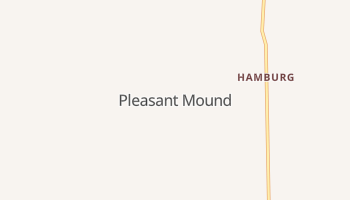 Pleasant Mound, Illinois map