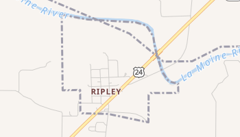 Ripley, Illinois map