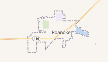 Roanoke, Illinois map