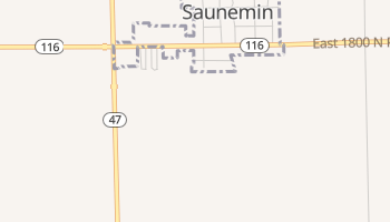 Saunemin, Illinois map