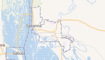 Savanna, Illinois map