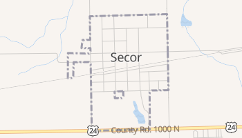 Secor, Illinois map