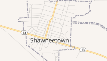 Shawneetown, Illinois map