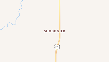 Shobonier, Illinois map