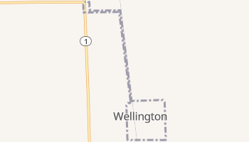 Wellington, Illinois map