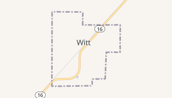 Witt, Illinois map