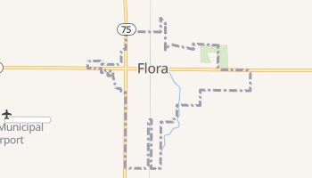 Flora, Indiana map