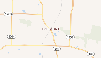 Freemont, Kentucky map