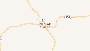 Poplar Plains, Kentucky map