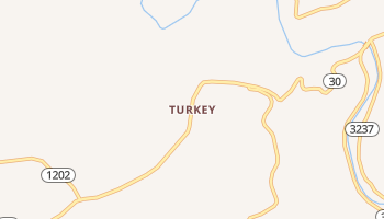 Turkey, Kentucky map