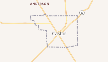 Castor, Louisiana map