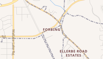 Forbing, Louisiana map