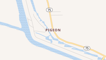 Pigeon, Louisiana map