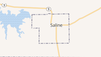 Saline, Louisiana map