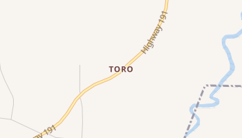Toro, Louisiana map