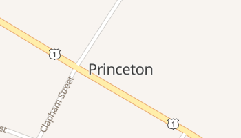 Princeton, Maine map