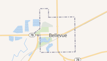 Bellevue, Michigan map