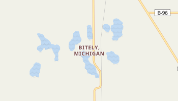 Bitely, Michigan map