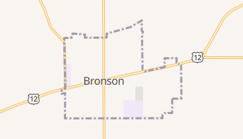 Bronson, Michigan map