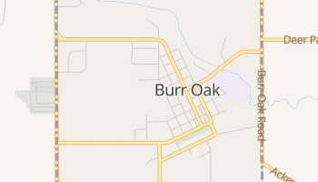 Burr Oak, Michigan map