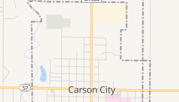 Carson City, Michigan map