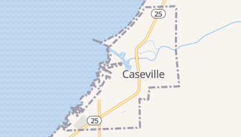 Caseville, Michigan map