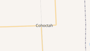 Cohoctah, Michigan map