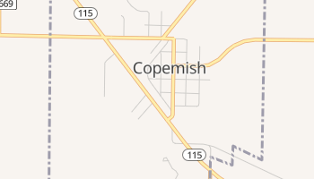 Copemish, Michigan map
