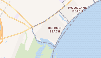 Detroit Beach, Michigan map