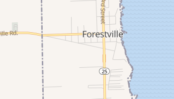 Forestville, Michigan map