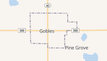 Gobles, Michigan map
